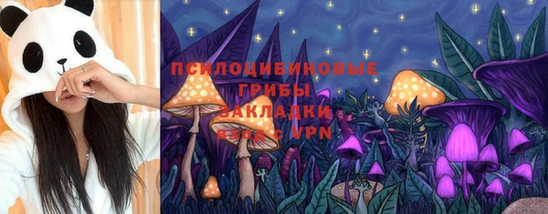 скорость Няндома