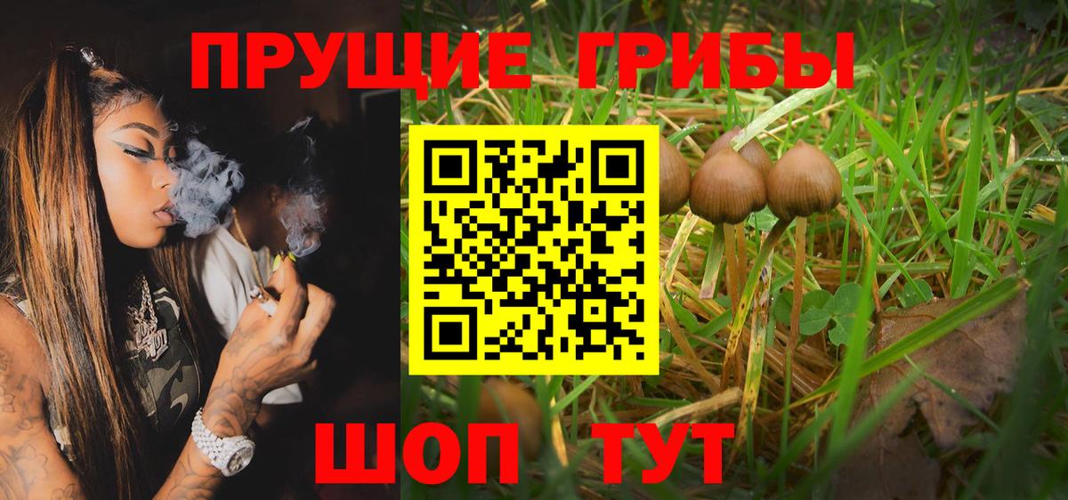 Галлюциногенные грибы MAGIC MUSHROOMS  Псилоцибиновые грибы мухоморы  Североуральск  Вход с VPN 