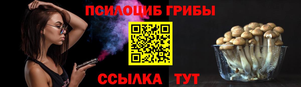 Североуральск  Экстази  ГАШ  Наркошоп  Вход с VPN  COCAIN  МДМА  Меф   ТГК 